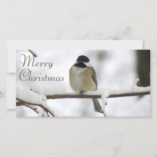 Ein chickadee-Weihnachten Feiertagskarte