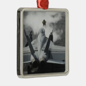 Ein Cockpit signalisiert eine F/A-18F Silbernes Ornament (Rechts)