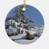 Ein Colorado Weihnachtsbaum Keramikornament (Vorne)