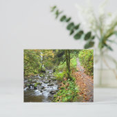 Ein Cooler Bach Postkarte (Stehend Vorderseite)