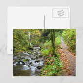 Ein Cooler Bach Postkarte (Vorne/Hinten)