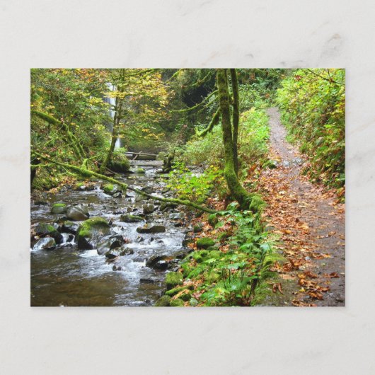 Ein Cooler Bach Postkarte (Vorderseite)