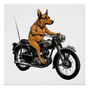 Ein cooler Hund fährt Motorrad Poster