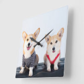 Ein Corgis-Paar auf einer Bank Quadratische Wanduhr (Winkel)