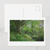 Ein cotswold Spring Wood Postkarte (Vorne/Hinten)