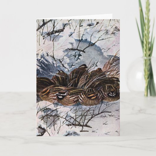 Ein Covey der virginischer Wachteln Karte (Vorderseite)