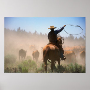 Ein Cowboy, der bei der Herde auf einer Rinder Poster