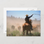 Ein Cowboy, der die Herde an einem Rind arbeitet Postkarte (Vorne/Hinten)