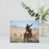 Ein Cowboy, der die Herde an einem Rind arbeitet Postkarte (Stehend Vorderseite)