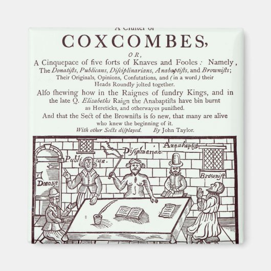 Ein Coxcombes-Cluster von John Taylor Magnet (Vorne)