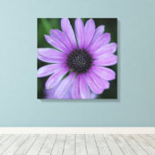 Ein Daisy für dich! Leinwanddruck (Insitu (Holzboden))