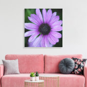 Ein Daisy für dich! Leinwanddruck (Insitu (Wohnzimmer))