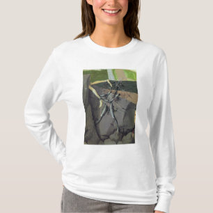 Ein Dämon, von der 'Krönung des Virgin T-Shirt