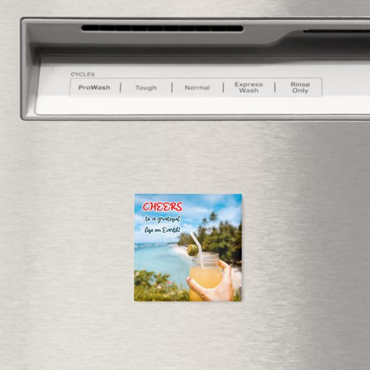 Ein dankbares Leben auf Erden Magnet (In Situ (Geschirrspüler))