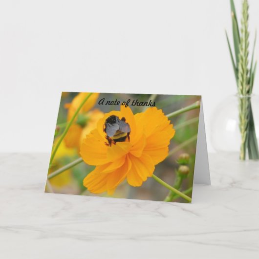 Ein Dankeschön Dankeskarte (Vorderseite)