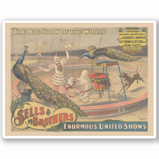 Ein Darstellender Zebu und Pfau mit Clowntrainer Aufkleber (Vorderseite)