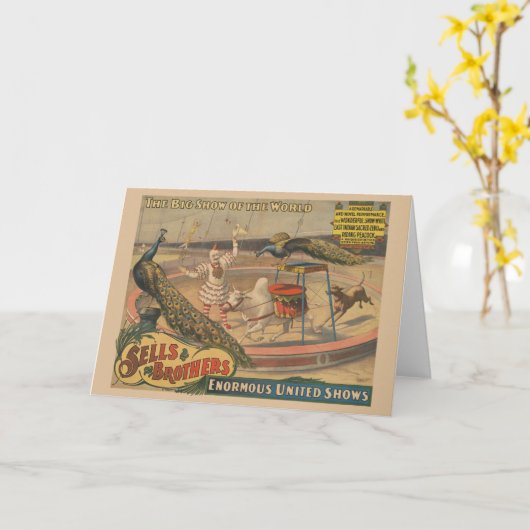 Ein Darstellender Zebu und Pfau mit Clowntrainer Karte (Gelbe Blume)