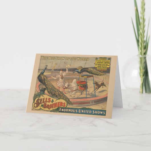 Ein Darstellender Zebu und Pfau mit Clowntrainer Karte (Vorderseite)