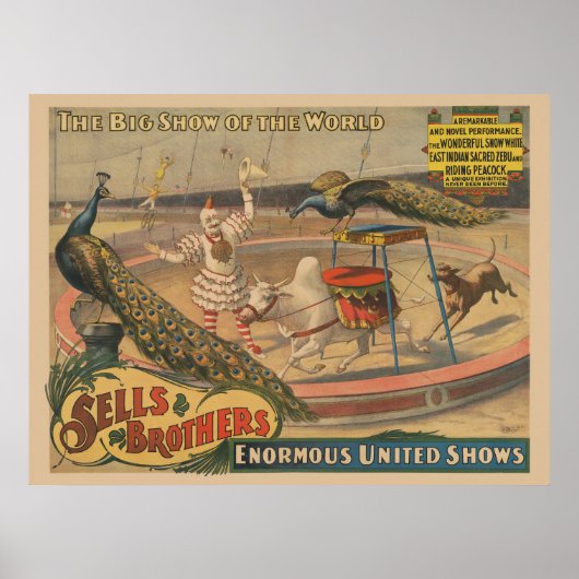 Ein Darstellender Zebu und Pfau mit Clowntrainer Poster (Vorne)
