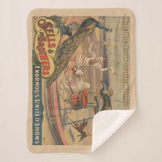 Ein Darstellender Zebu und Pfau mit Clowntrainer Sherpadecke (Vorderseite)