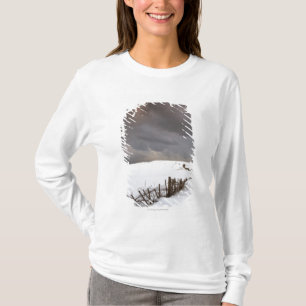 Ein defekter Zaun entlang einer Schnee T-Shirt