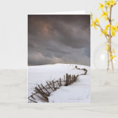 Ein defekter Zaun Karte (Gelbe Blume)