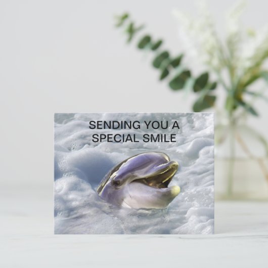 Ein Delphine lächelt am besten Postkarte (Stehend Vorderseite)