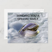 Ein Delphine lächelt am besten Postkarte (Vorne/Hinten)