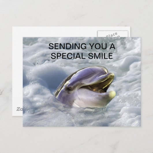 Ein Delphine lächelt am besten Postkarte (Vorne/Hinten)