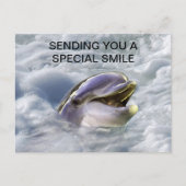 Ein Delphine lächelt am besten Postkarte (Vorderseite)