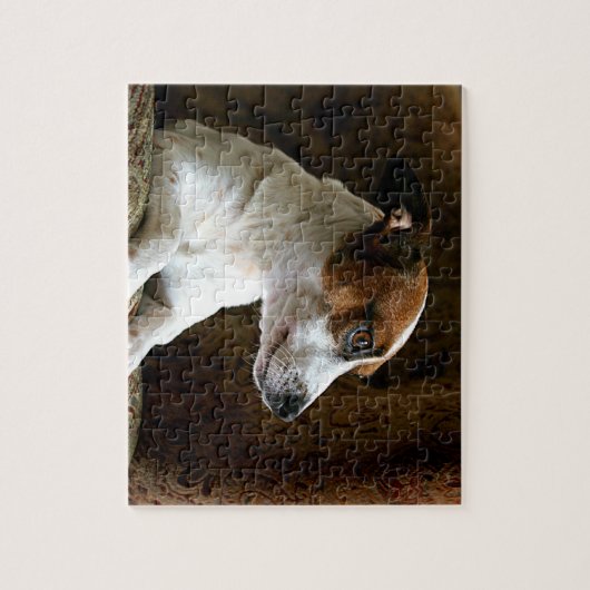 Ein denkender Jack-Russell-Terrier Puzzle (Vertikal)