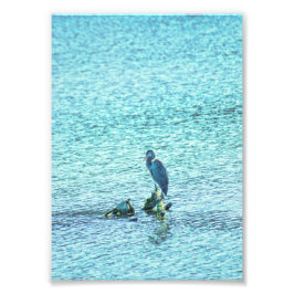 Ein Denker Fotodruck