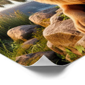 Ein deutscher Hirte in einer rustikalen Landschaft Poster (Ecke)