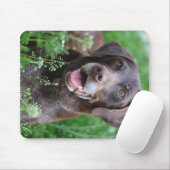Ein deutscher Hund des kurzhaarigen Zeigers im Mousepad (Mit Mouse)