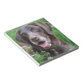 Ein deutscher Kurzhahn im Gras Notizblock (angewinkelt)