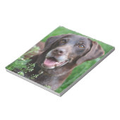 Ein deutscher Kurzhahn im Gras Notizblock (Rotiert)