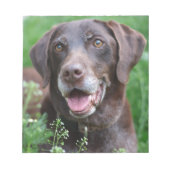 Ein deutscher Kurzhahn im Gras Notizblock (Vorderseite)