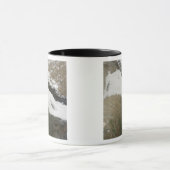 Ein dicker Ufer niedriger Wolken Tasse (Zentrum)