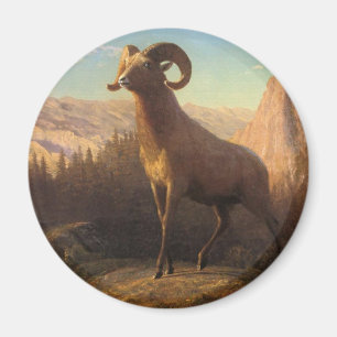 ein Dickhornschaf, Bierstadt Albert Magnet