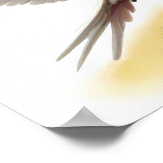 Ein digitales Bild eines großen Mitchell-Kakados Poster (Ecke)