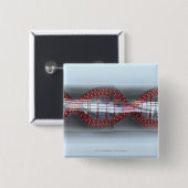 Ein DNS-Strang in einer Kapsel Button (Vorne & Hinten)