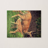 Ein Doh und ihre Fawn Puzzle (Horizontal)