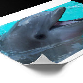 Ein Dolphin-Lächeln teilen Poster (Ecke)