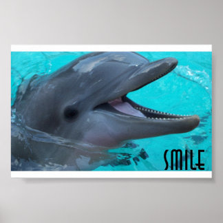 Ein Dolphin-Lächeln teilen Poster