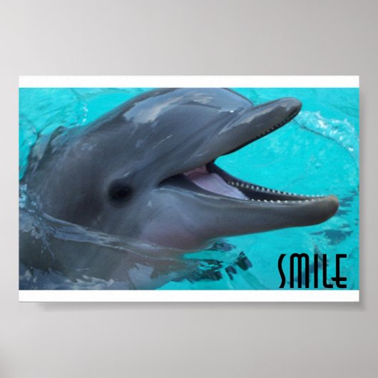 Ein Dolphin-Lächeln teilen Poster (Vorne)
