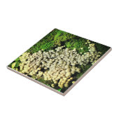 Ein Dorf mit Pilzen Fliese (Seite)