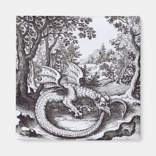 Ein Drache im Wald Magnet (Vorne)