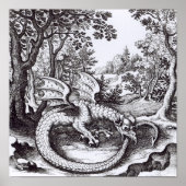 Ein Drache im Wald Poster (Vorne)