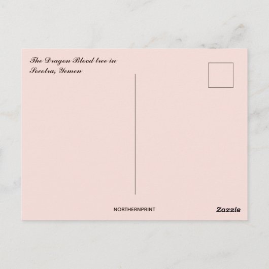 Ein Drachenblutbaum im Socotra-Jemen Postkarte (Rückseite)