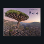Ein Drachenblutbaum im Socotra-Jemen Postkarte<br><div class="desc">Diese Postkarte enthält einen Drachenblutbaum in Socotra, Jemen! Foto Credit: Andrew Svk, 2022. Genießen Sie Ihren neuen A Dragon Blood Tree in Socotra Jemen Postcard!</div>
